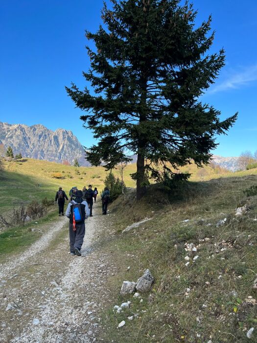 Ciaspolata presso il Sentiero dei Grandi Alberi - Seconda parte Ciaspolata presso il Sentiero dei Grandi Alberi - Seconda parte desktop picture