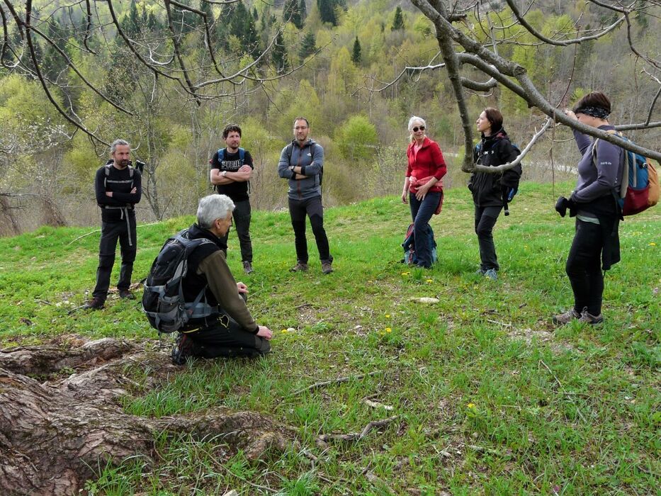 Il Sentiero dei Grandi Alberi - Seconda parte Il Sentiero dei Grandi Alberi - Seconda parte desktop picture