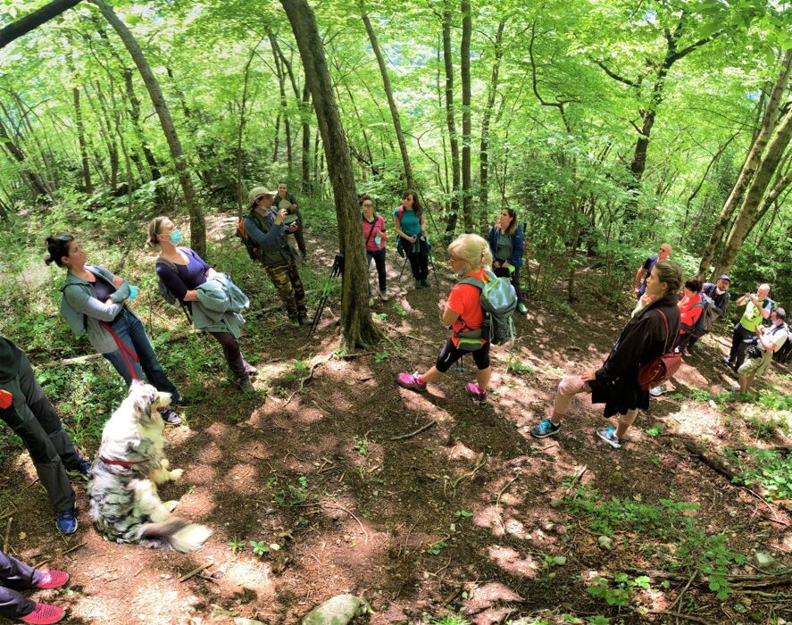 Il Sentiero dello Spirito del Bosco Il Sentiero dello Spirito del Bosco desktop picture