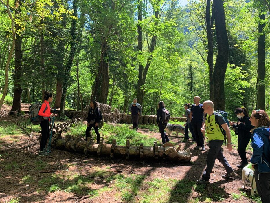 Il Sentiero dello Spirito del Bosco Il Sentiero dello Spirito del Bosco desktop picture