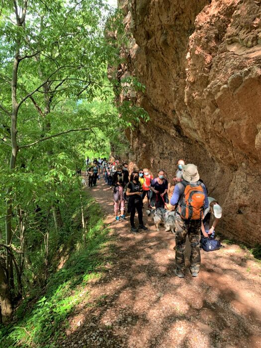 Il Sentiero dello Spirito del Bosco Il Sentiero dello Spirito del Bosco desktop picture