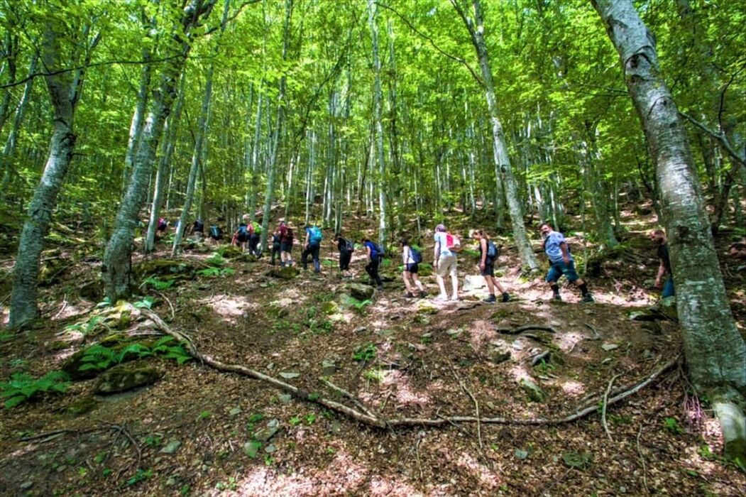 Le Cascate del Doccione: Trekking sensoriale ai piedi del crinale Le Cascate del Doccione: Trekking sensoriale ai piedi del crinale desktop picture