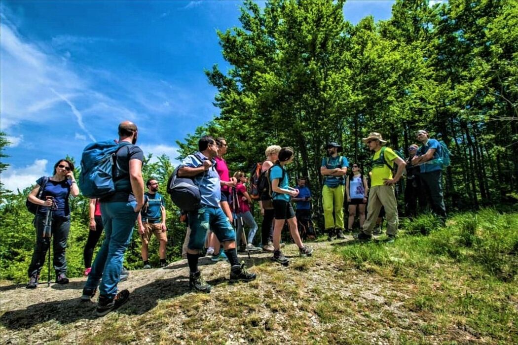 Le Cascate del Doccione: Trekking sensoriale ai piedi del crinale Le Cascate del Doccione: Trekking sensoriale ai piedi del crinale desktop picture