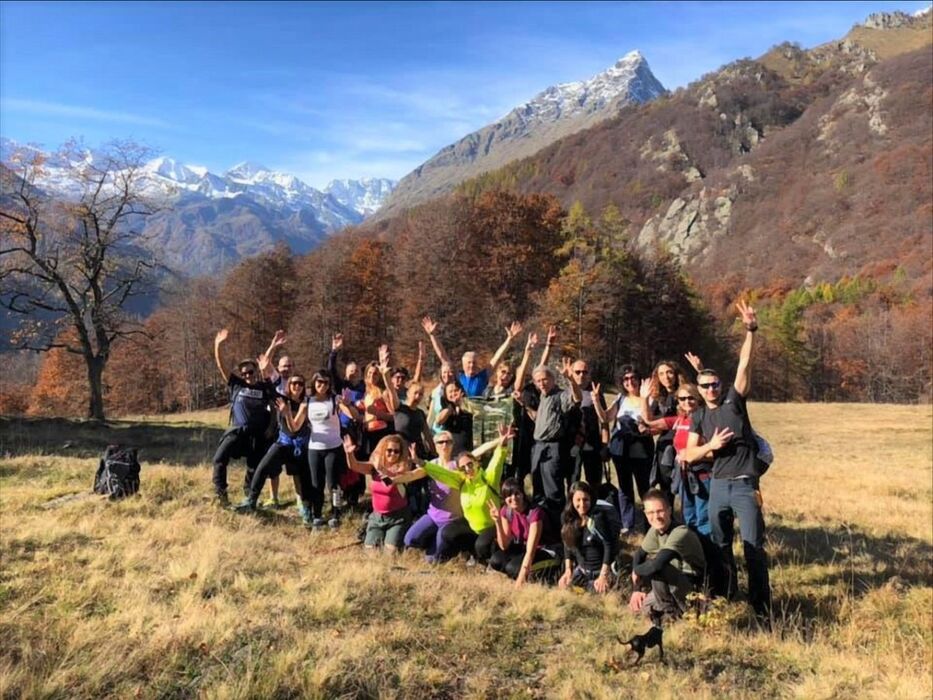 Passeggiata tra Boschi e Alpeggi di Pian Fè e Pian Sarpeis Passeggiata tra Boschi e Alpeggi di Pian Fè e Pian Sarpeis desktop picture