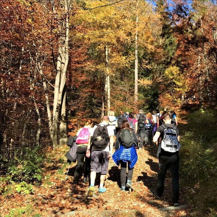 Passeggiata tra Boschi e Alpeggi di Pian Fè e Pian Sarpeis Passeggiata tra Boschi e Alpeggi di Pian Fè e Pian Sarpeis desktop picture