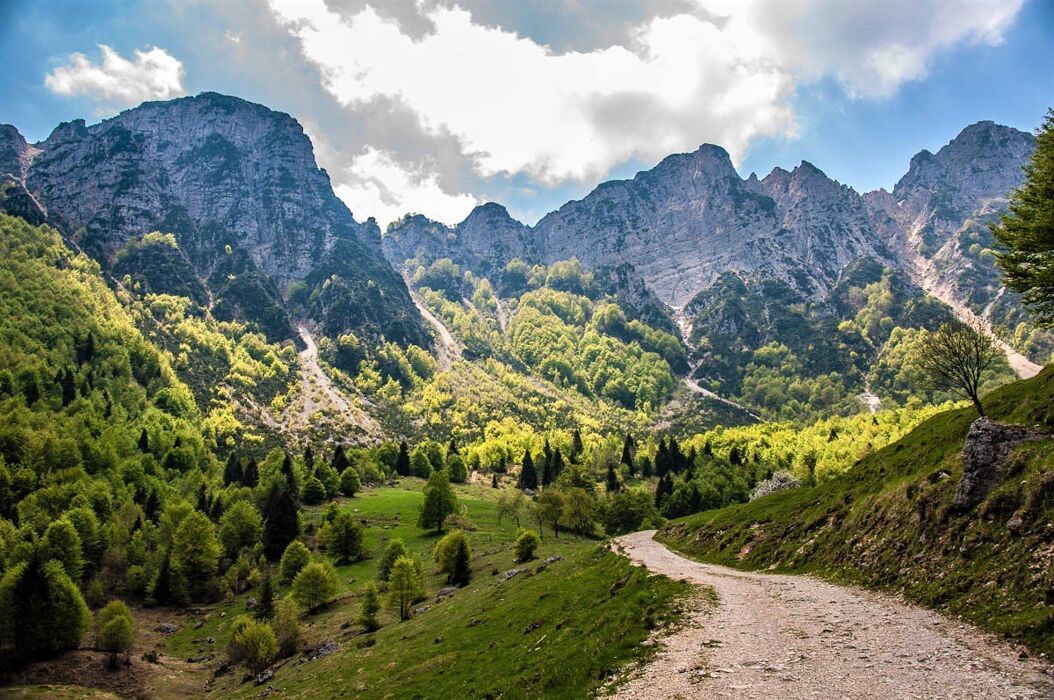 Il Sentiero dei Grandi Alberi - Prima parte Il Sentiero dei Grandi Alberi - Prima parte desktop picture