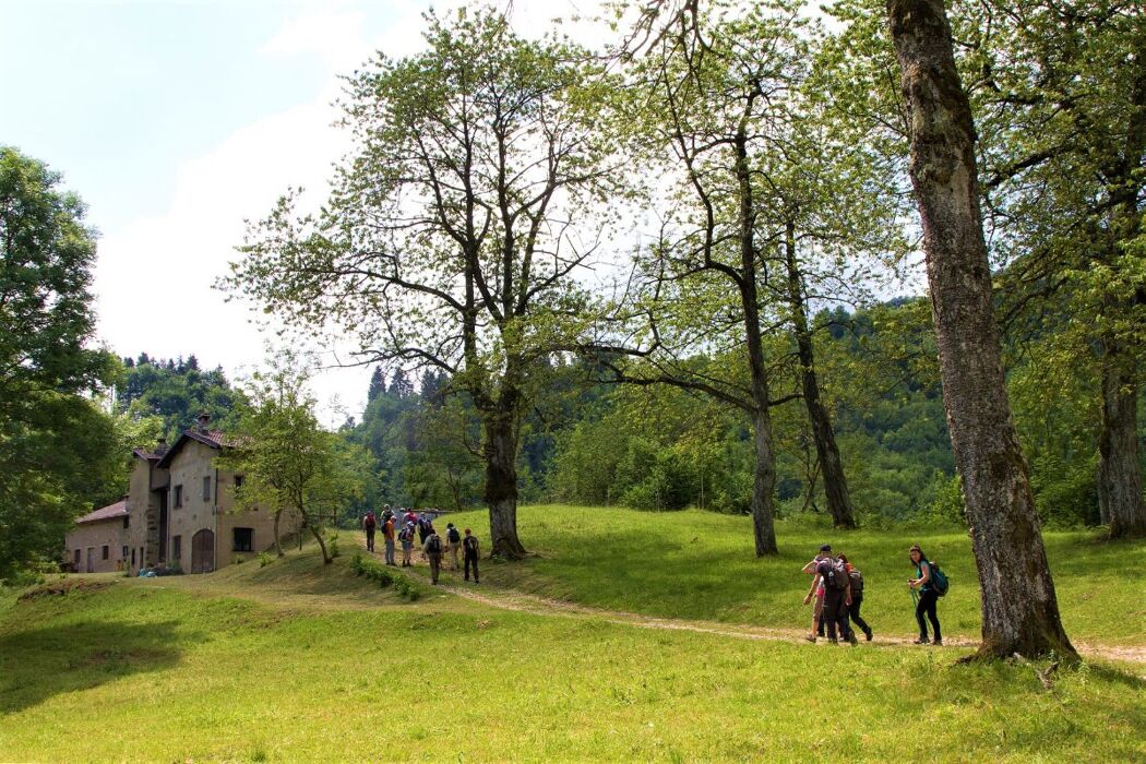 Il Sentiero dei Grandi Alberi - Prima parte Il Sentiero dei Grandi Alberi - Prima parte desktop picture