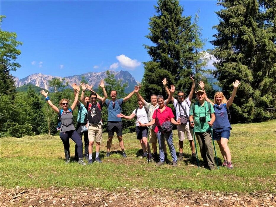 Il Sentiero dei Grandi Alberi - Prima parte Il Sentiero dei Grandi Alberi - Prima parte desktop picture
