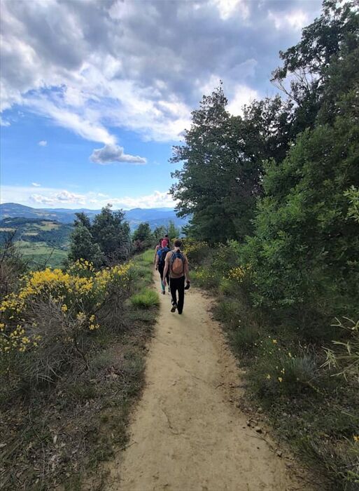 Escursione panoramica tra il Monte Adone e il Contrafforte Pliocenico Escursione panoramica tra il Monte Adone e il Contrafforte Pliocenico desktop picture