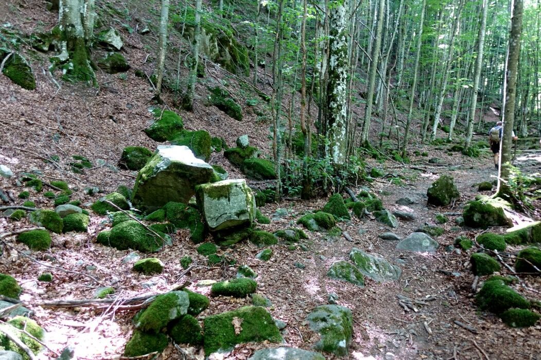 BEAT - Escursione nel Cuore degli Appennini: Le Cascate del Dardagna (solo donne) BEAT - Escursione nel Cuore degli Appennini: Le Cascate del Dardagna (solo donne) desktop picture