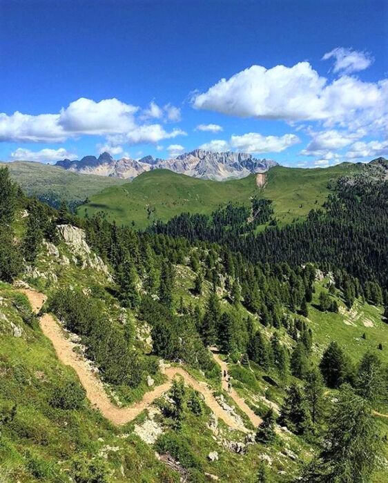 Un balcone sulle pale di San Martino: suggestiva escursione tra il cimon della Pala, il Mulaz e il Travignolo Un balcone sulle pale di San Martino: suggestiva escursione tra il cimon della Pala, il Mulaz e il Travignolo desktop picture