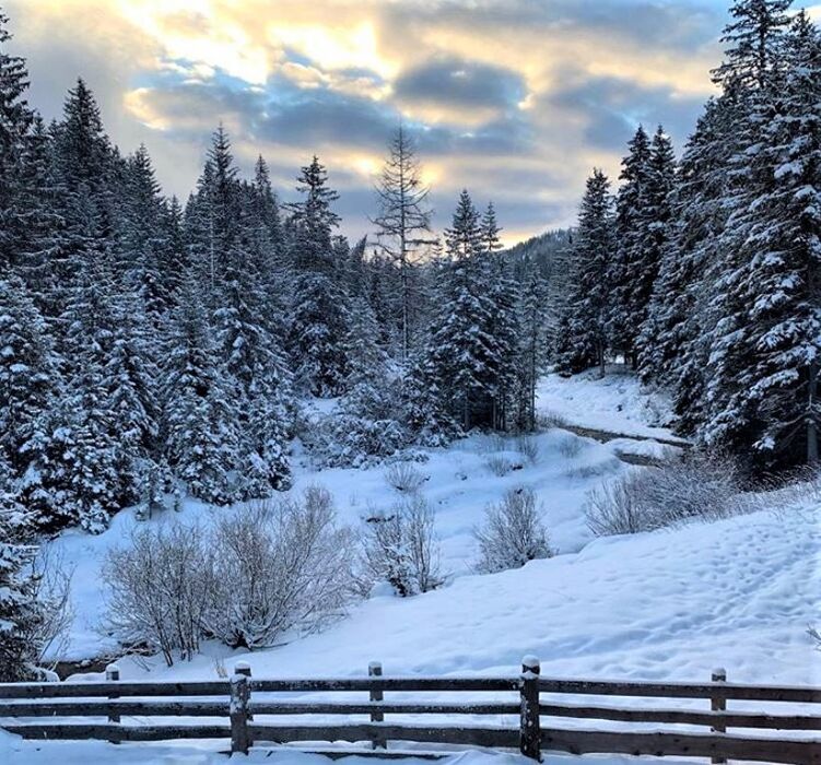 Tra la Val Pusteria e la Val Comelico: le innevate Malghe di Confine Tra la Val Pusteria e la Val Comelico: le innevate Malghe di Confine desktop picture
