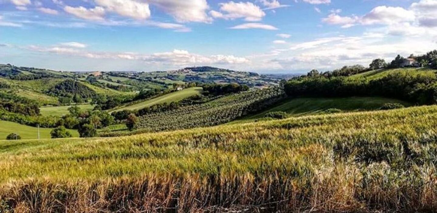 Conero Leggendario: Lungo il Rio Boranico fino al Buco del Diavolo (AN) Conero Leggendario: Lungo il Rio Boranico fino al Buco del Diavolo (AN) desktop picture