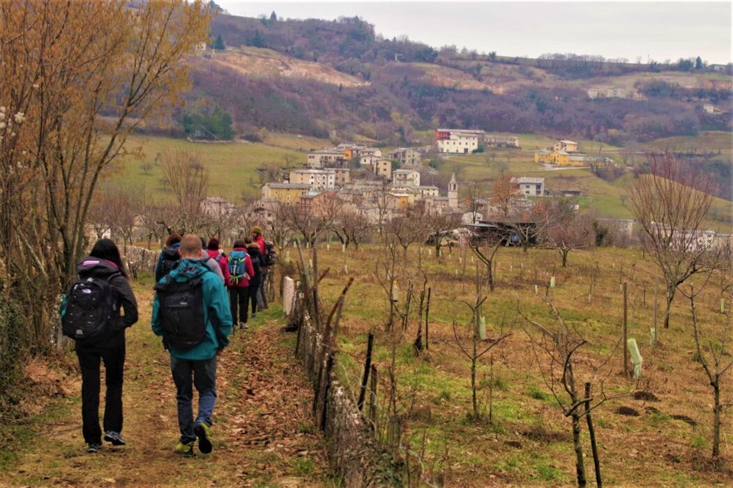 Escursione al Ponte di Veja: Il Monumento di Pietra e Acqua Escursione al Ponte di Veja: Il Monumento di Pietra e Acqua desktop picture