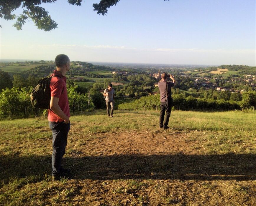 Passeggiata Serale a Castelvetro, il Borgo tra i Colli del Grasparossa Passeggiata Serale a Castelvetro, il Borgo tra i Colli del Grasparossa desktop picture