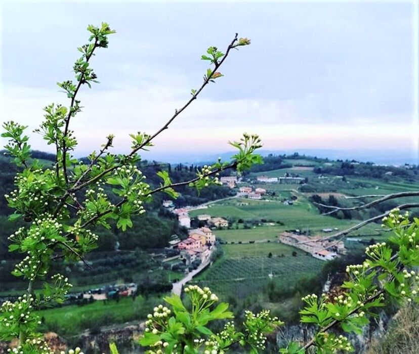 In Val Sorda: Il Bunker Vista Garda sul Monte Moscal In Val Sorda: Il Bunker Vista Garda sul Monte Moscal desktop picture