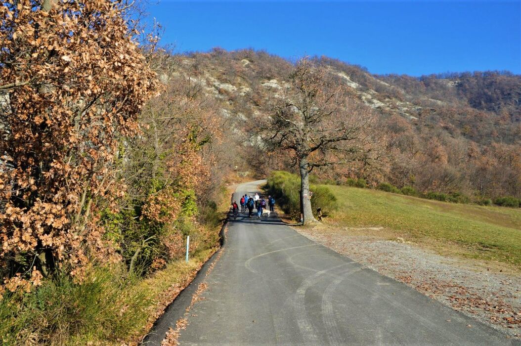 Il Parco Regionale di Monte Sole: Trekking tra storia e bellezza Il Parco Regionale di Monte Sole: Trekking tra storia e bellezza desktop picture