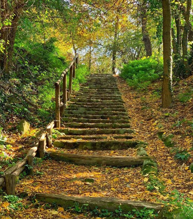 I Sassi di Roccamalatina: Un Percorso tra le "Dolomiti" del Bolognese I Sassi di Roccamalatina: Un Percorso tra le "Dolomiti" del Bolognese desktop picture