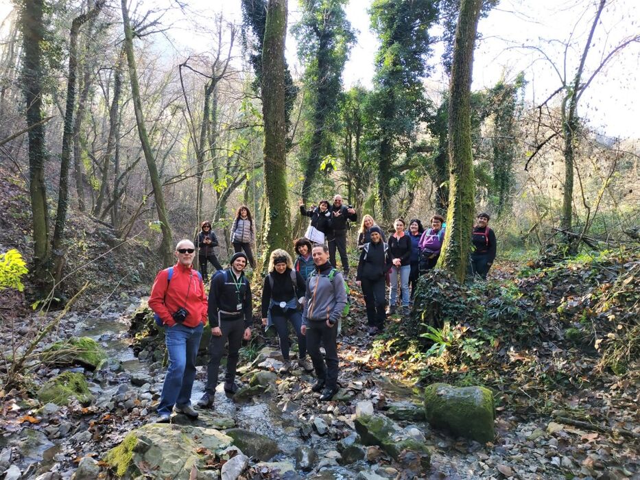 I Sassi di Roccamalatina: Un Percorso tra le "Dolomiti" del Bolognese I Sassi di Roccamalatina: Un Percorso tra le "Dolomiti" del Bolognese desktop picture