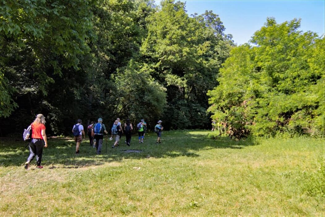I Sassi di Roccamalatina: Un Percorso tra le "Dolomiti" del Bolognese I Sassi di Roccamalatina: Un Percorso tra le "Dolomiti" del Bolognese desktop picture