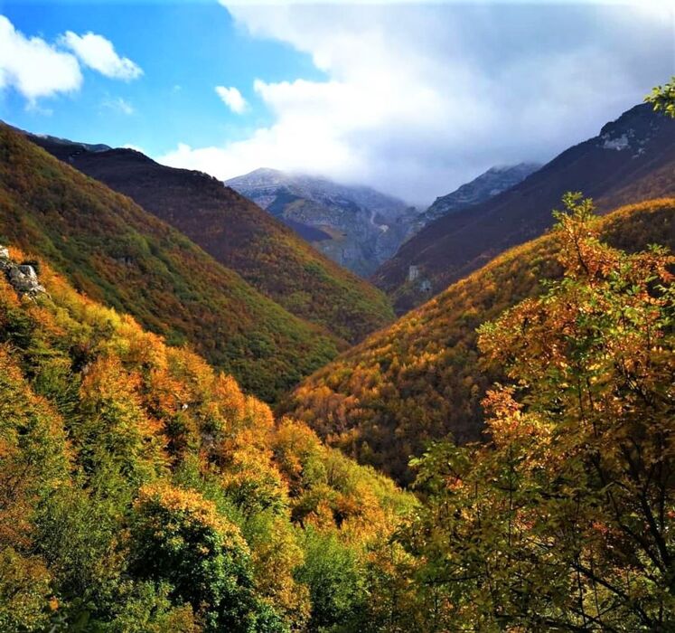 Camminando nel Nome della Rosa Camminando nel Nome della Rosa desktop picture