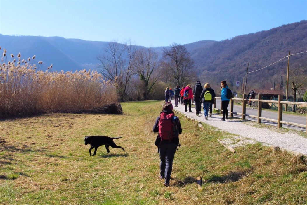 Passeggiata al Lago di Fimon: lo specchio d’acqua tra i Colli Berici Passeggiata al Lago di Fimon: lo specchio d’acqua tra i Colli Berici desktop picture