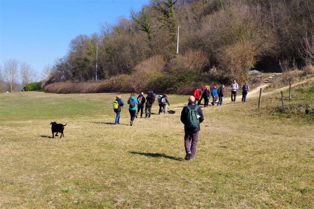 Passeggiata al Lago di Fimon: lo specchio d’acqua tra i Colli Berici Passeggiata al Lago di Fimon: lo specchio d’acqua tra i Colli Berici desktop picture