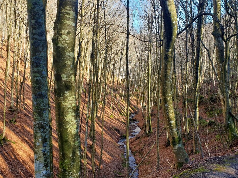 Attraverso le Cascate dell’Abbraccio: Un Percorso tra i Salti d’Acqua Attraverso le Cascate dell’Abbraccio: Un Percorso tra i Salti d’Acqua desktop picture