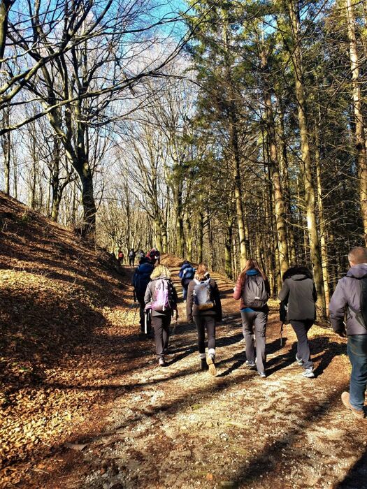 Attraverso le Cascate dell’Abbraccio: Un Percorso tra i Salti d’Acqua Attraverso le Cascate dell’Abbraccio: Un Percorso tra i Salti d’Acqua desktop picture
