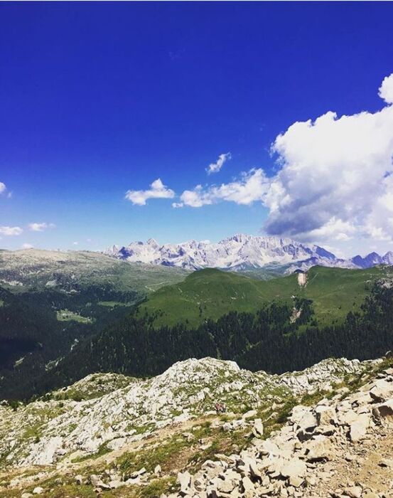 Un balcone sulle pale di San Martino: affascinante ciaspolata tra il cimon della Pala, il Mulaz e il Travignolo Un balcone sulle pale di San Martino: affascinante ciaspolata tra il cimon della Pala, il Mulaz e il Travignolo desktop picture