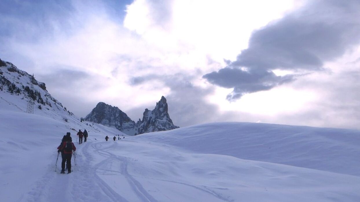 Un balcone sulle pale di San Martino: affascinante ciaspolata tra il cimon della Pala, il Mulaz e il Travignolo Un balcone sulle pale di San Martino: affascinante ciaspolata tra il cimon della Pala, il Mulaz e il Travignolo desktop picture