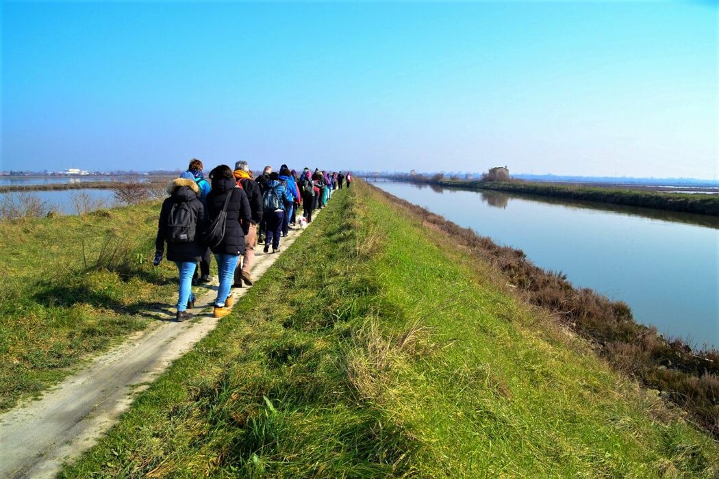Tutti i Colori delle Lagune: Passeggiata al Parco Del Delta del Po Tutti i Colori delle Lagune: Passeggiata al Parco Del Delta del Po desktop picture