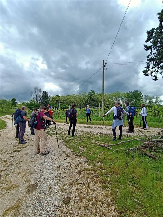 L'Anello del Prosecco: Una Camminata in Val Trippera L'Anello del Prosecco: Una Camminata in Val Trippera desktop picture