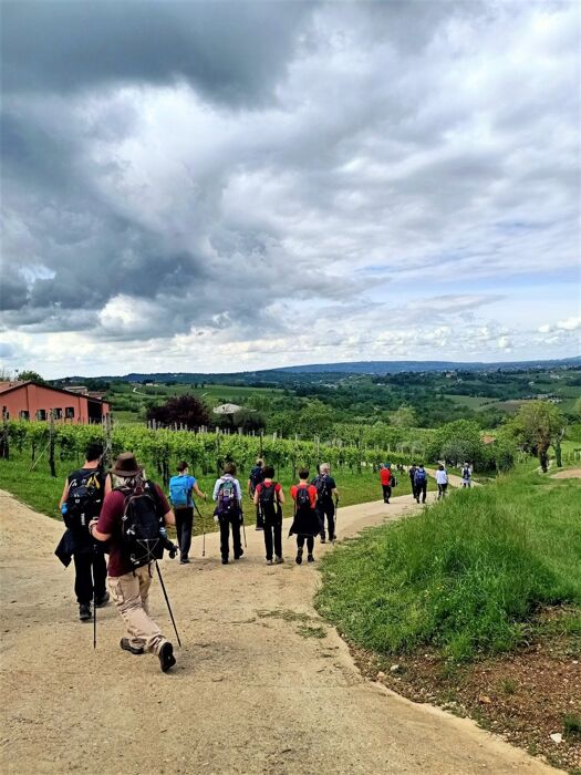 L'Anello del Prosecco: Una Camminata in Val Trippera L'Anello del Prosecco: Una Camminata in Val Trippera desktop picture