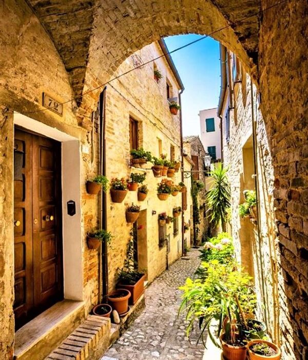 Event card Torre di Palme: un magico Borgo affacciato sull'Adriatico (EVENTO GRATUITO CON CAUZIONE) cover image