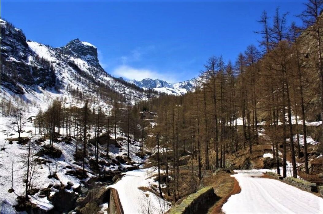 Ciaspolata nella Conca di Ala: un’immersione nella magia delle Valli di Lanzo Ciaspolata nella Conca di Ala: un’immersione nella magia delle Valli di Lanzo desktop picture