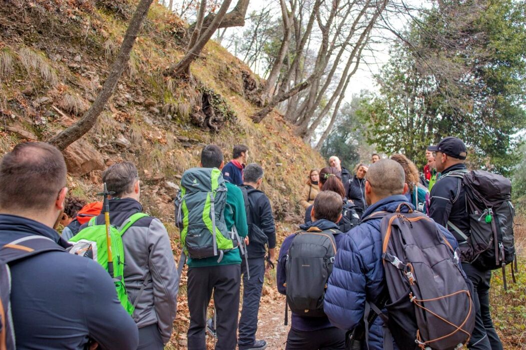I Sentieri del Monte Castello di Gaino: una terrazza sul Lago di Garda I Sentieri del Monte Castello di Gaino: una terrazza sul Lago di Garda desktop picture