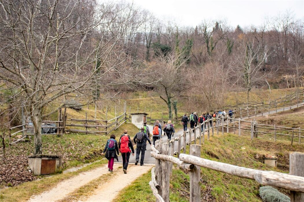 I Sentieri del Monte Castello di Gaino: una terrazza sul Lago di Garda I Sentieri del Monte Castello di Gaino: una terrazza sul Lago di Garda desktop picture
