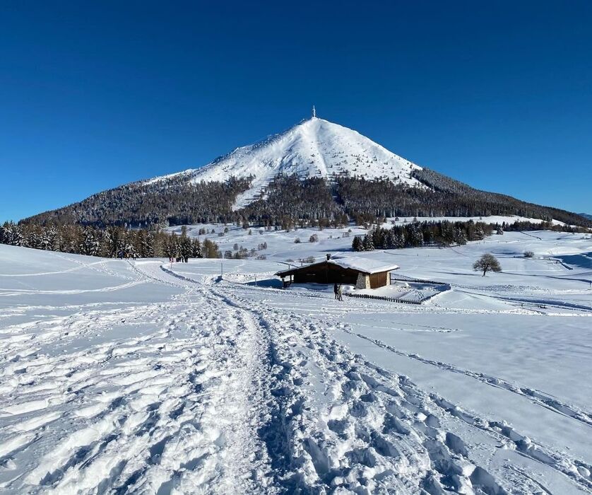 Ciaspolata al Massiccio del Bondone (Con Esperienza) Ciaspolata al Massiccio del Bondone (Con Esperienza) desktop picture