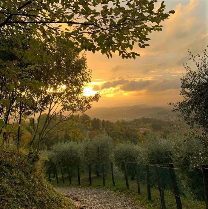 Asolo e i Colli Trevigiani: Camminata tra Natura e Rievocazioni Letterarie Asolo e i Colli Trevigiani: Camminata tra Natura e Rievocazioni Letterarie desktop picture