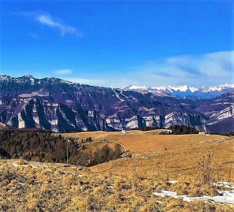 La Lessinia e il Passo Fittanze, un magico percorso tra antiche malghe e faggete secolari La Lessinia e il Passo Fittanze, un magico percorso tra antiche malghe e faggete secolari desktop picture