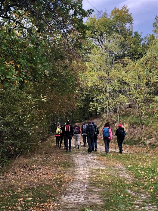 Escursione alla Grotta di Labante, la Cavità Magica nel Bolognese Escursione alla Grotta di Labante, la Cavità Magica nel Bolognese desktop picture