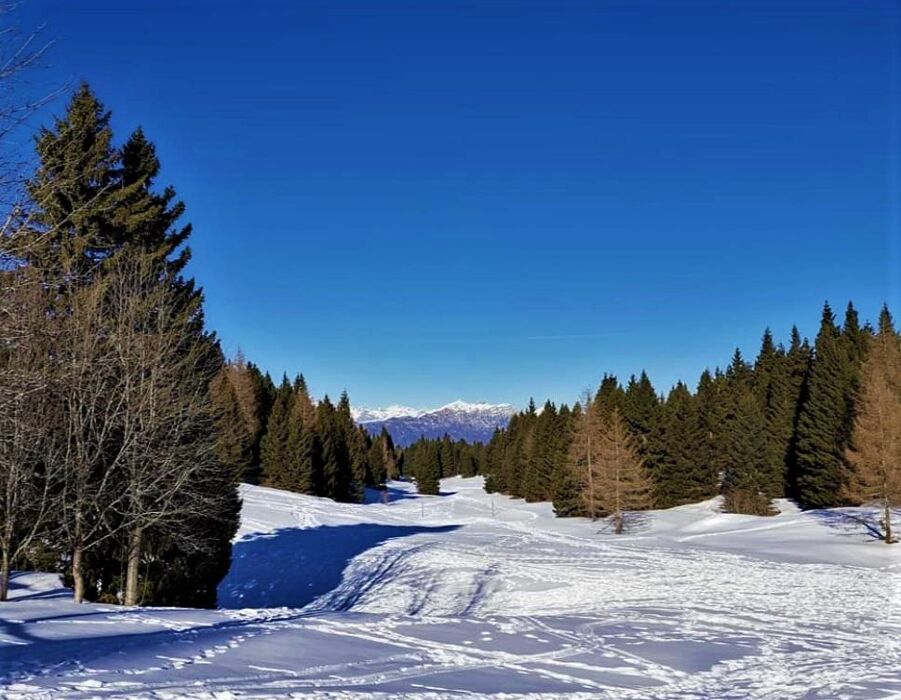 Ciaspolata sul Monte Zugna, la magia del tramonto sulle tracce dei lupi Ciaspolata sul Monte Zugna, la magia del tramonto sulle tracce dei lupi desktop picture