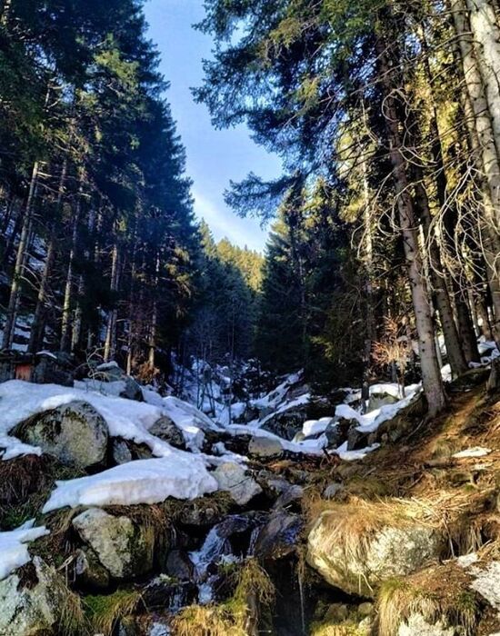 Un'affascinante Ciaspolata nella natura selvaggia delle Valli di Lanzo Un'affascinante Ciaspolata nella natura selvaggia delle Valli di Lanzo desktop picture