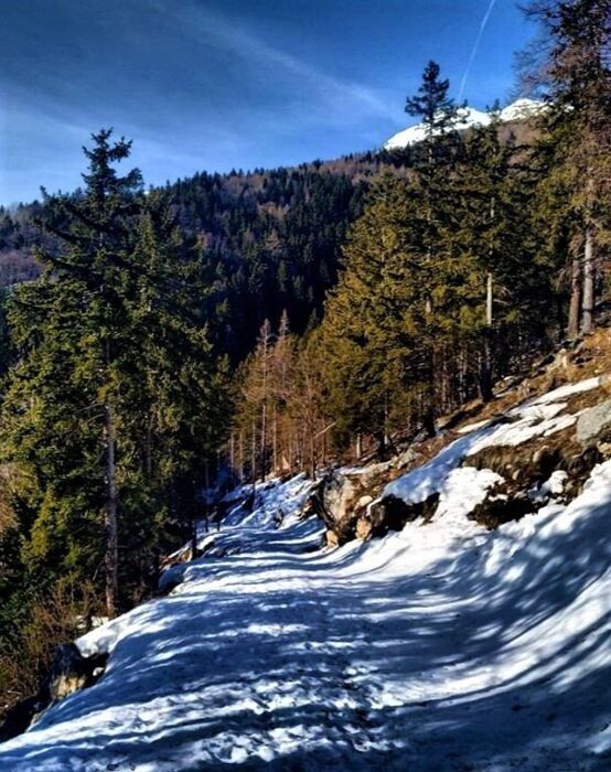 Un'affascinante Ciaspolata nella natura selvaggia delle Valli di Lanzo Un'affascinante Ciaspolata nella natura selvaggia delle Valli di Lanzo desktop picture