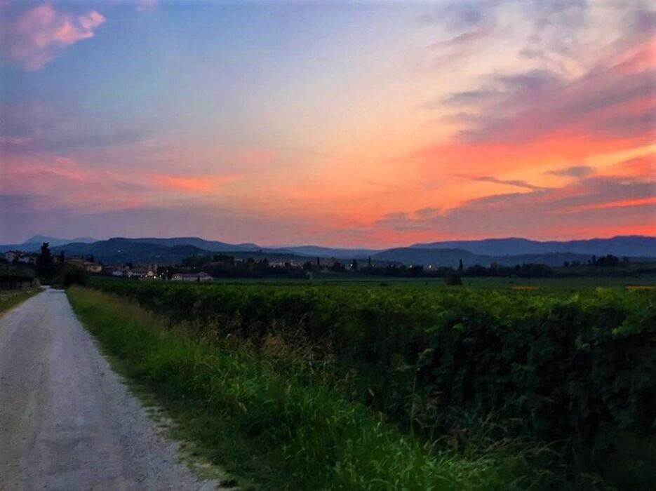 Viaggio serale nelle Colline Veronesi per ascoltare il canto dei rapaci notturni Viaggio serale nelle Colline Veronesi per ascoltare il canto dei rapaci notturni desktop picture