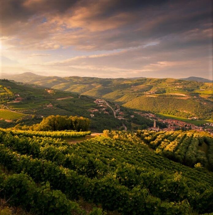 Viaggio serale nelle Colline Veronesi per ascoltare il canto dei rapaci notturni Viaggio serale nelle Colline Veronesi per ascoltare il canto dei rapaci notturni desktop picture