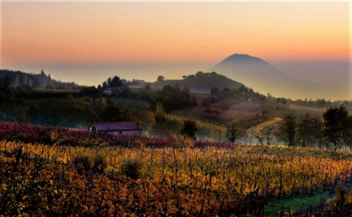 Viaggio serale nelle Colline Veronesi per ascoltare il canto dei rapaci notturni Viaggio serale nelle Colline Veronesi per ascoltare il canto dei rapaci notturni desktop picture