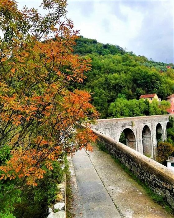 Sull'Antico Acquedotto Genovese, tra segreti storici e perle architettoniche Sull'Antico Acquedotto Genovese, tra segreti storici e perle architettoniche desktop picture