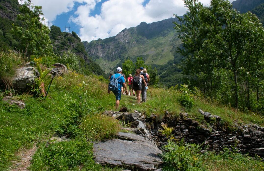 Escursione a Maslana sulle tracce degli stambecchi Escursione a Maslana sulle tracce degli stambecchi desktop picture